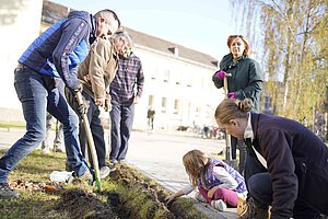 Blumenpflanzaktion am Krankenhaus Ludwigsfelde-Teltow